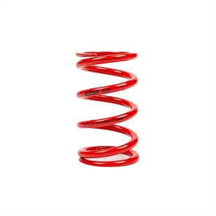 MTS Technik Coil Spring - GWFE86